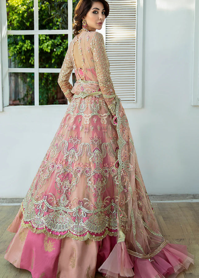 AJR Couture | Alif Luxury Formals - Peach Infusion