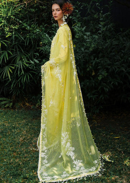 Sana Safinaz | Lawn 3