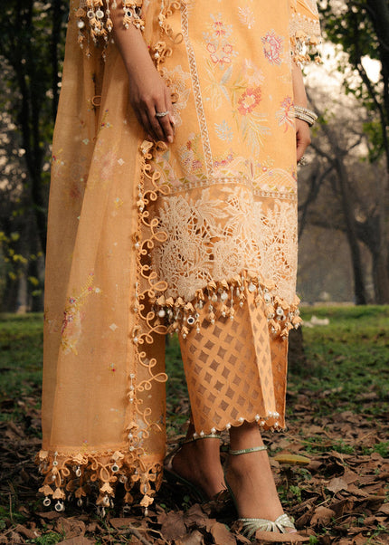 Sana Safinaz | Lawn 3