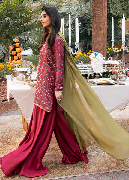 Zainab Salman | Luminara - Plumfull