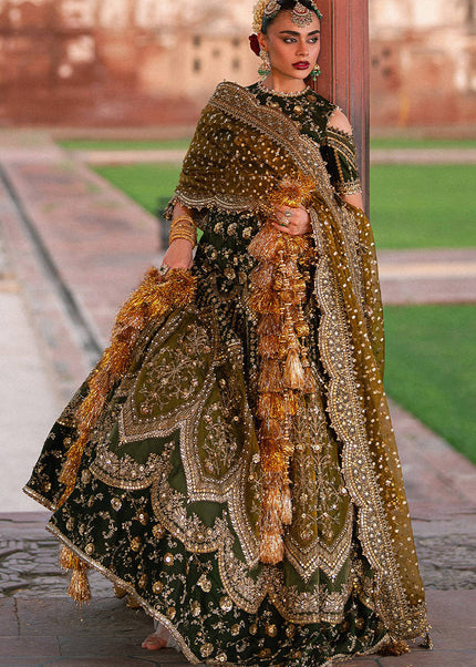 Mohsin Naveed Ranjha | Zarlish Festive - Afsana