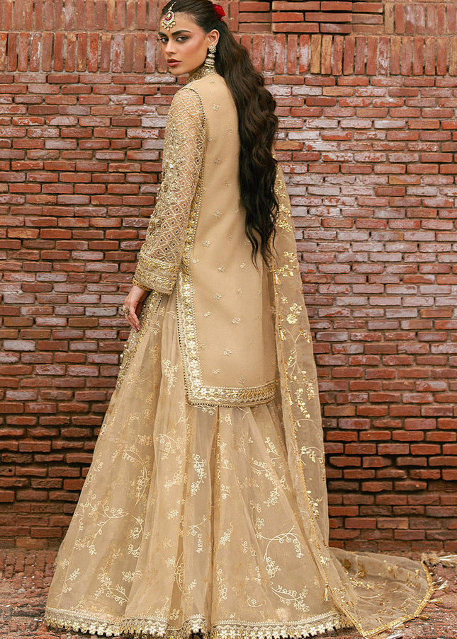 Mohsin Naveed Ranjha | Zarlish Festive - Roshni