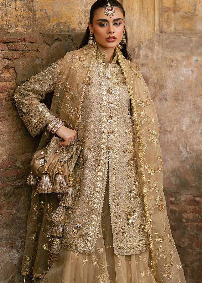 Mohsin Naveed Ranjha | Zarlish Festive - Roshni