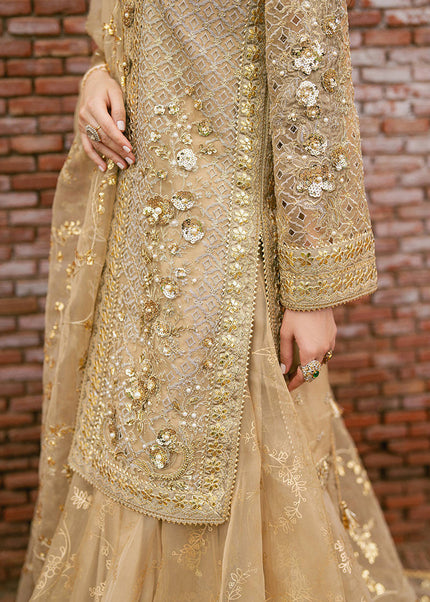 Mohsin Naveed Ranjha | Zarlish Festive - Roshni