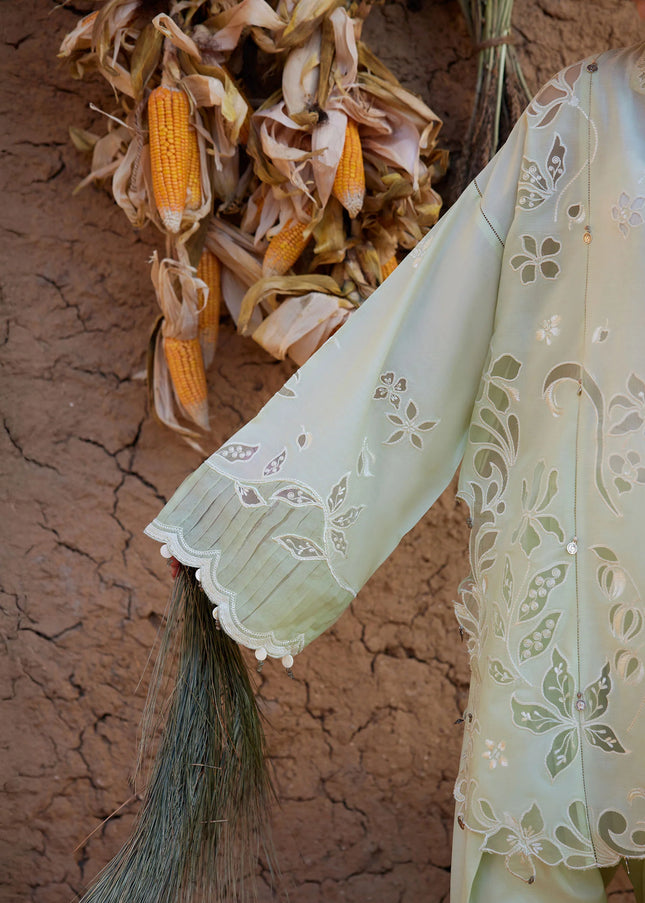 Zaha | Lawn '26 - Tao Rou