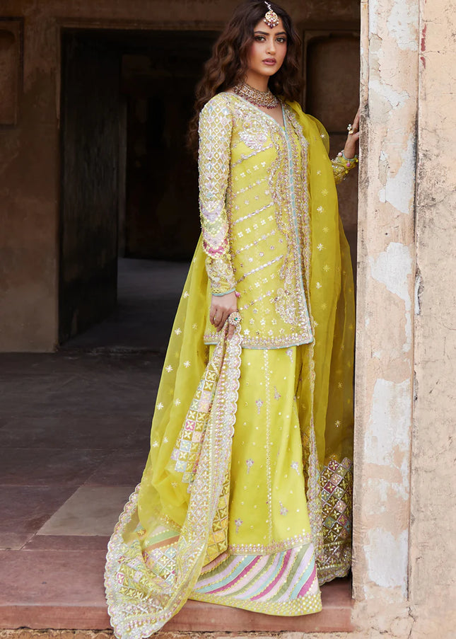 Qalamkar | Shadmani Luxury Formals | Dania