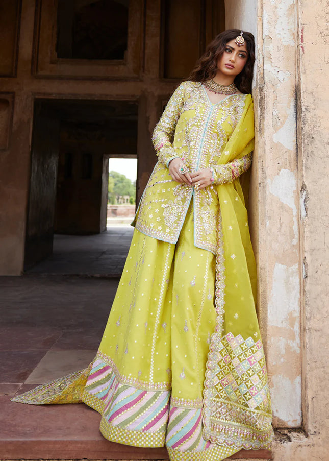 Qalamkar | Shadmani Luxury Formals | Dania