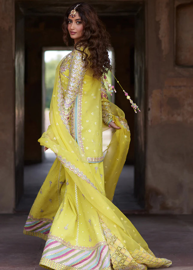 Qalamkar | Shadmani Luxury Formals | Dania