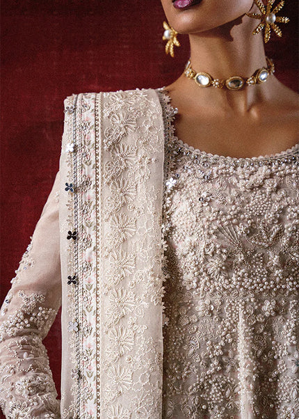 Suffuse | Freeshia Rtw'25 - Zahrell