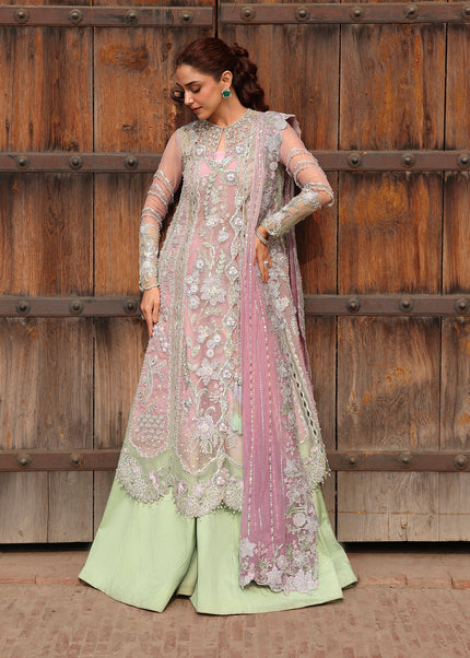 Crimson | Jhilmil - Tilsam