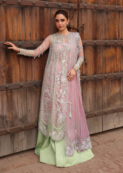 Crimson | Jhilmil - Tilsam