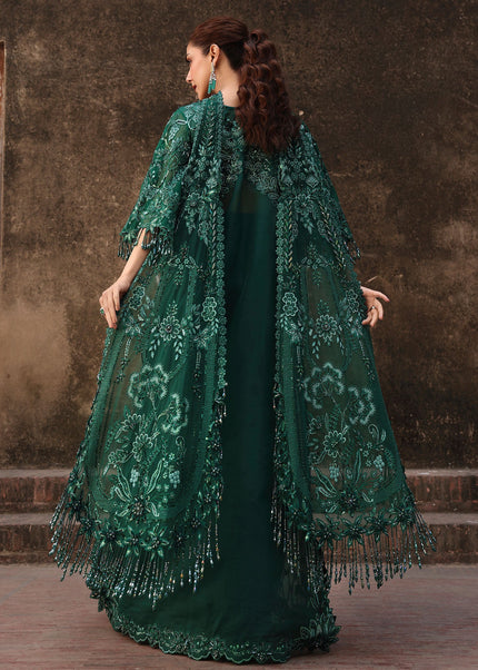Crimson | Jhilmil - Zamard