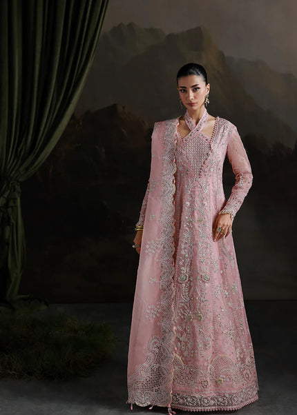 Qalamkar | Elirah Formals - Blush Reverie