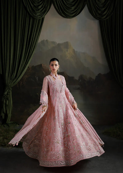 Qalamkar | Elirah Formals - Blush Reverie