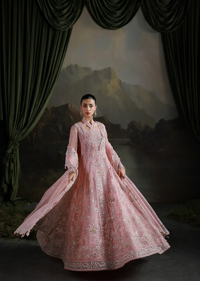 Qalamkar | Elirah Formals - Blush Reverie