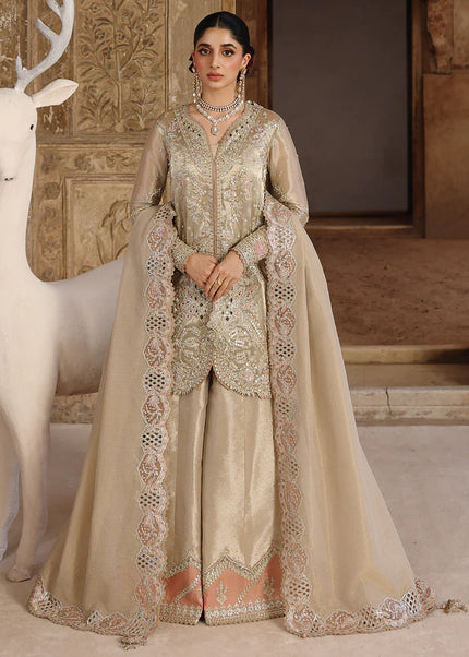 Qalamkar | Shadmaani - Ameera