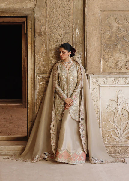 Qalamkar | Shadmaani - Ameera