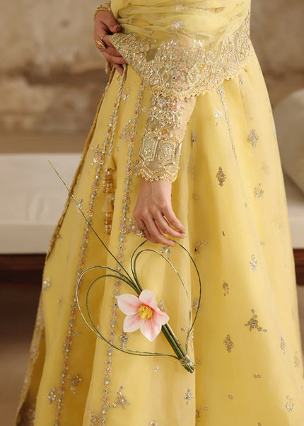 Qalamkar | Shadmaani - Hoor