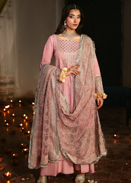 Saad Shaikh | Singhar'25 - Roshaan