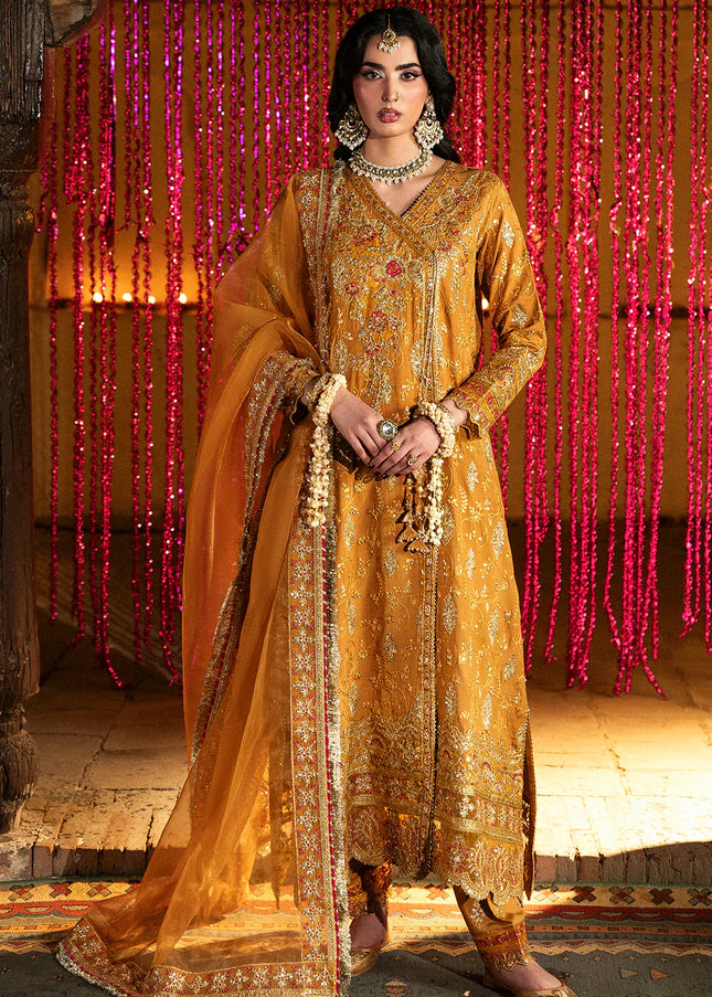 Saad Shaikh | Singhar'25 - Kaya