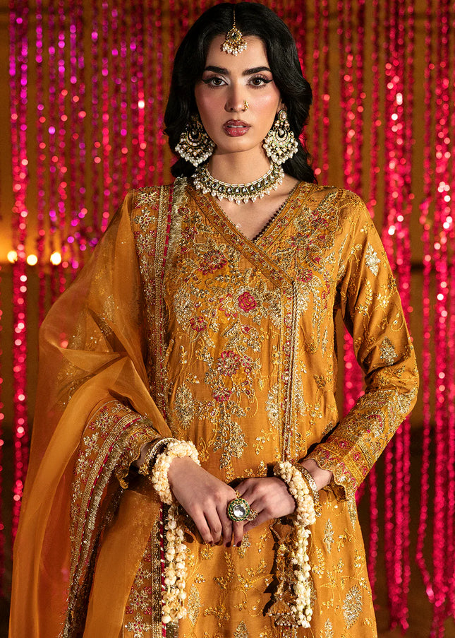 Saad Shaikh | Singhar'25 - Kaya