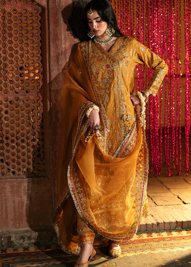 Saad Shaikh | Singhar'25 - Kaya