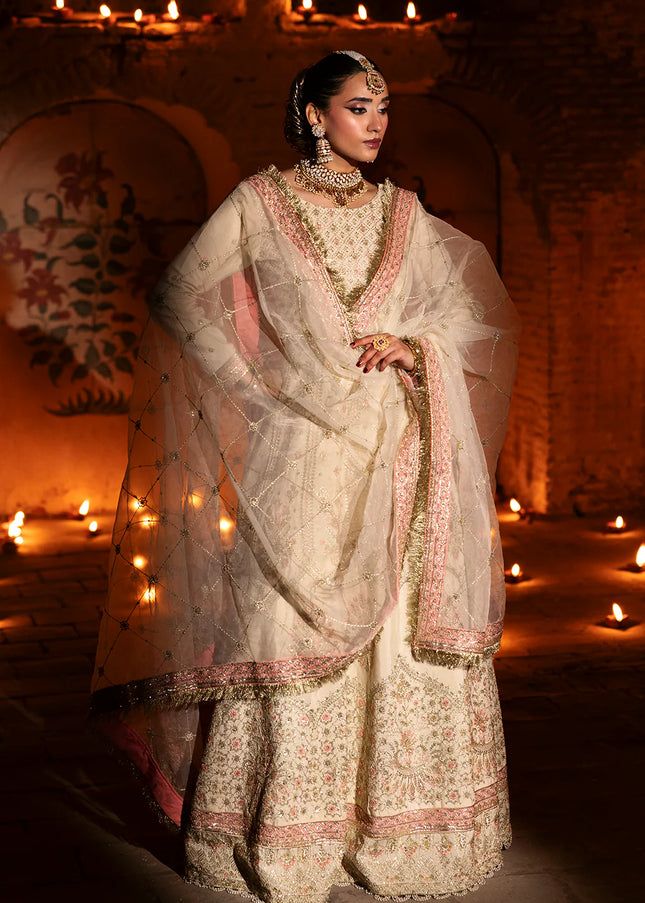 Saad Shaikh | Singhar'25 - Sitara