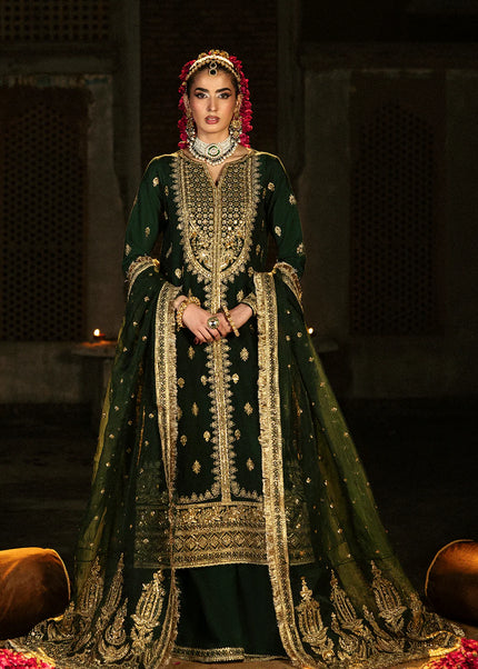 Saad Shaikh | Singhar'25 - Zaib