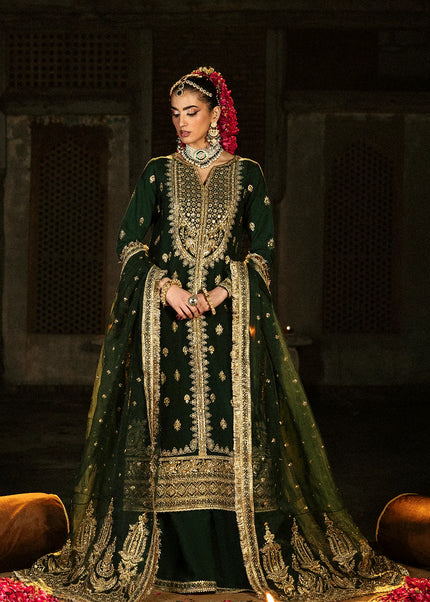 Saad Shaikh | Singhar'25 - Zaib