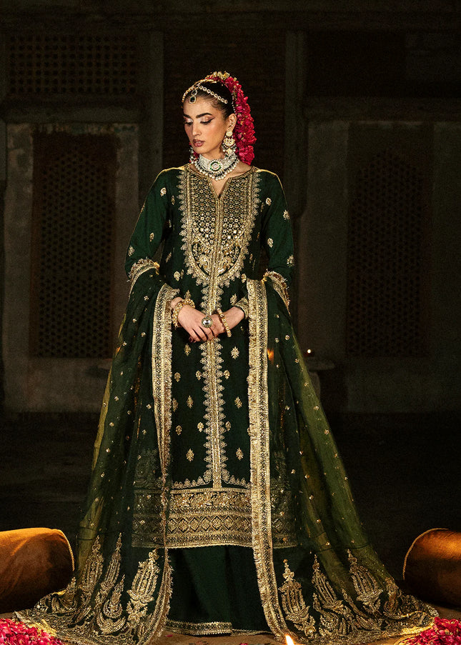 Saad Shaikh | Singhar'25 - Zaib