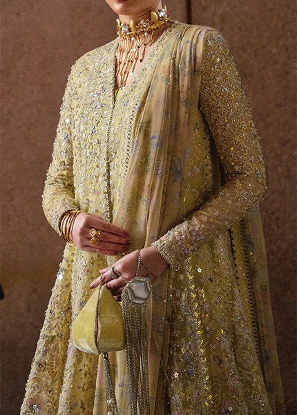 Suffuse | Freeshia Rtw'25 - Merivah