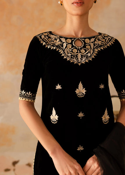 Shanzay Anooshay | Chandni