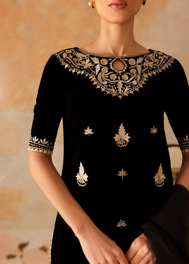 Shanzay Anooshay | Chandni