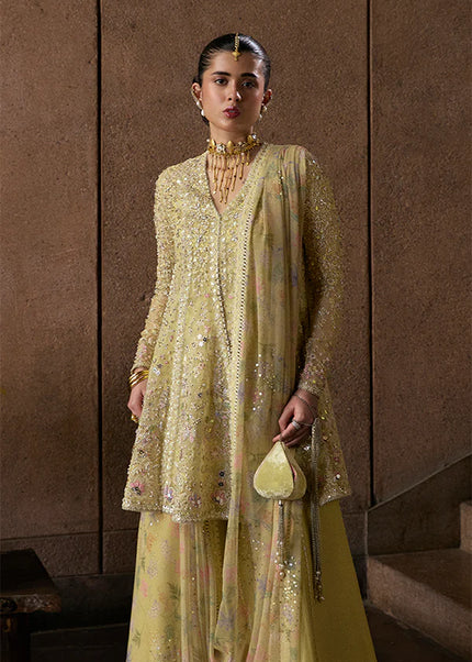 Suffuse | Freeshia Rtw'25 - Merivah