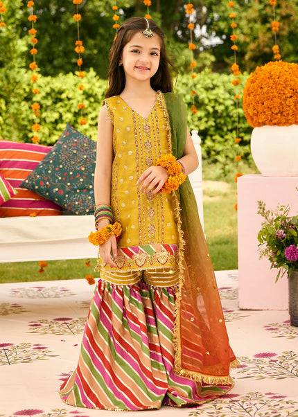 Alizeh | Shehnai - Zarposh