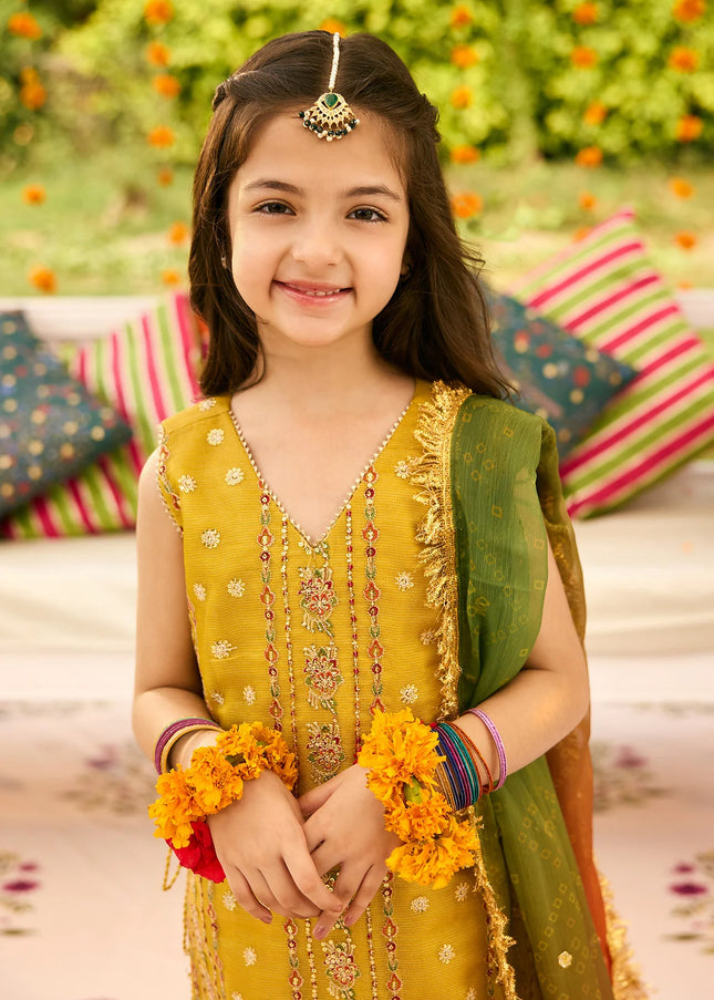 Alizeh | Shehnai - Zarposh