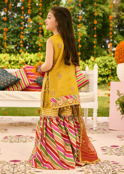 Alizeh | Shehnai - Zarposh