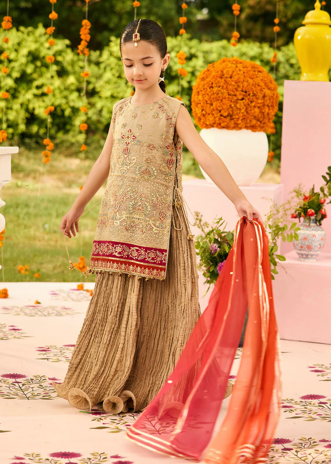 Alizeh | Shehnai - Dilruba