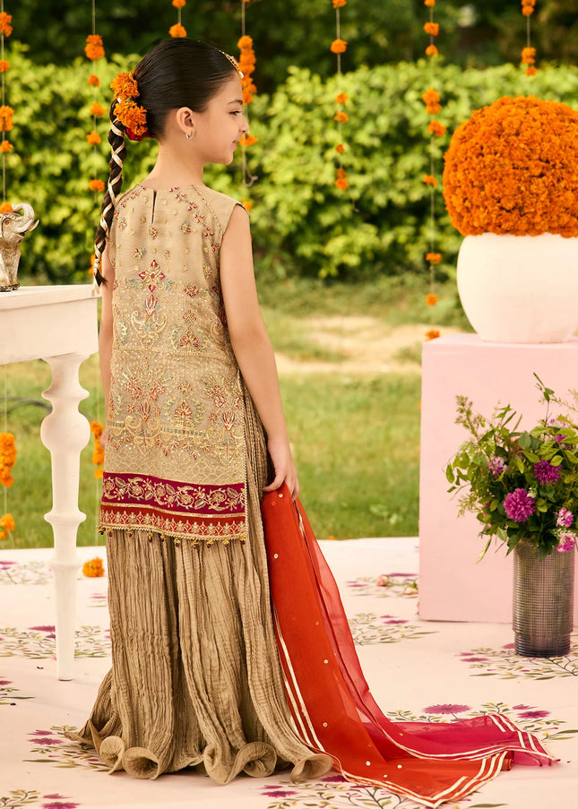 Alizeh | Shehnai - Dilruba