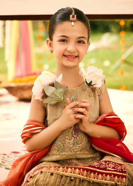 Alizeh | Shehnai - Dilruba