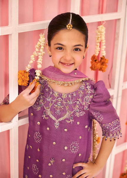 Alizeh | Shehnai - Zari