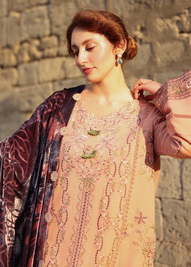 Rang Rasiya | Carnation Luxury Shawl Edit  - Latte