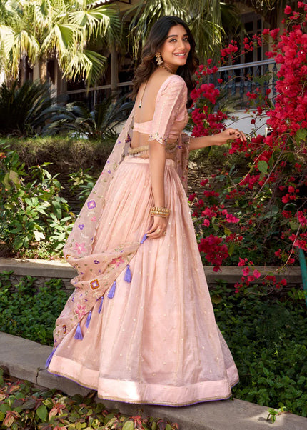 Light Pink Embroidered Lehenga Choli
