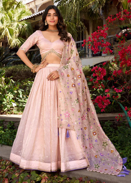 Light Pink Embroidered Lehenga Choli