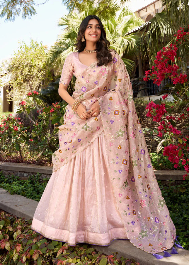 Light Pink Embroidered Lehenga Choli