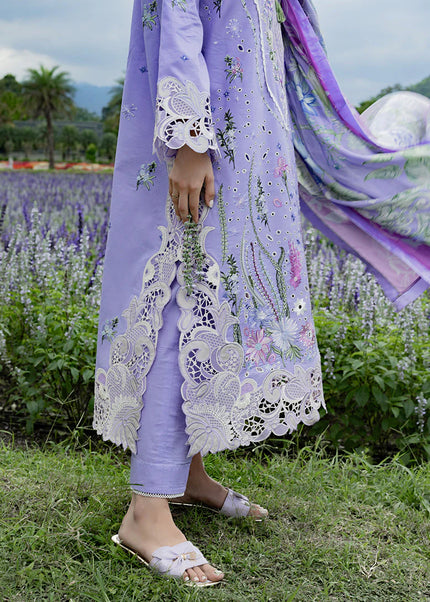 Mushq | The Secret Garden - Daisy Reverie