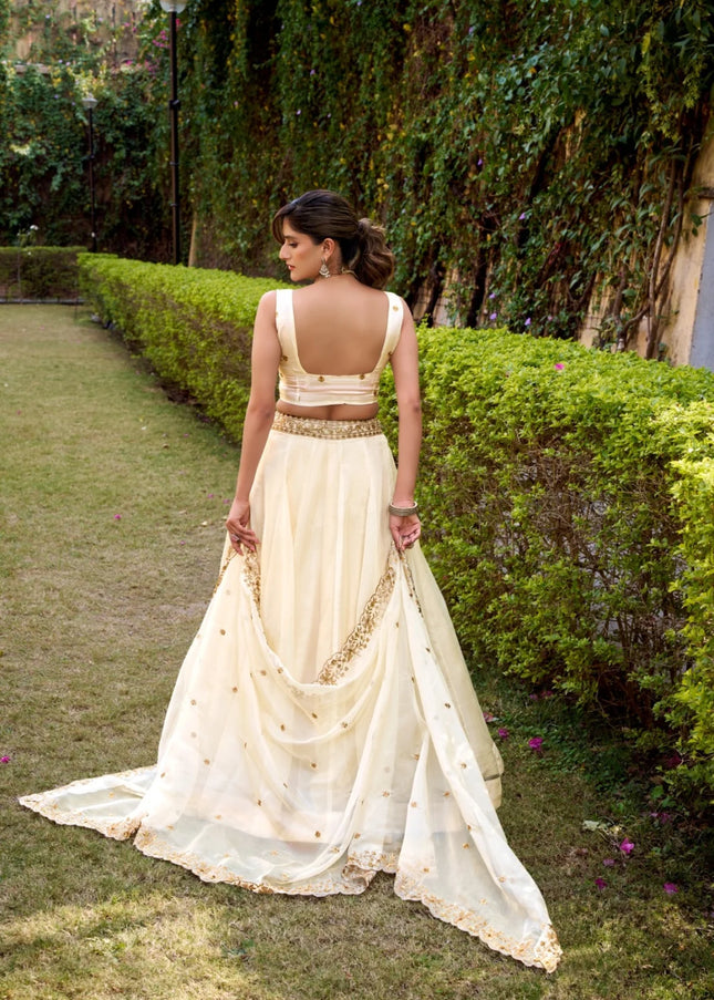 Offwhite Embroidered Lehenga Choli
