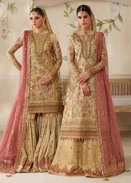 Baroque | Embroidered Chiffon CH14-02