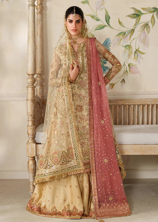 Baroque | Embroidered Chiffon CH14-02