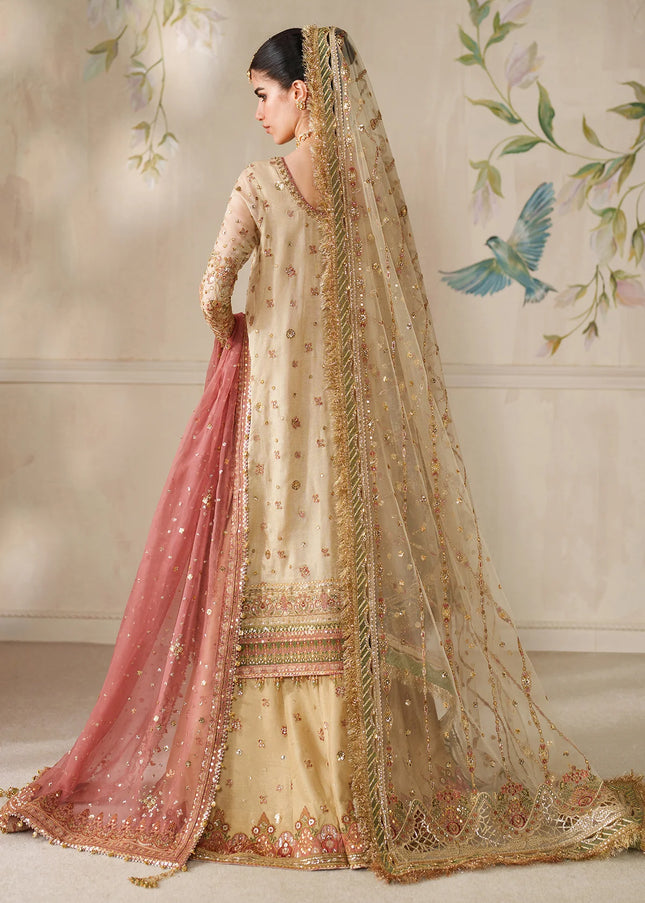 Baroque | Embroidered Chiffon CH14-02